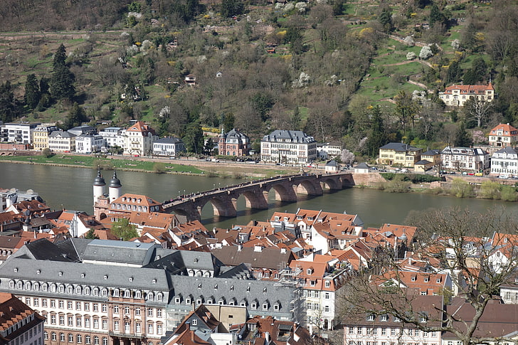 Zuhause, Deutschland, Panorama, Dach, Gebäude, Brücke, Fluss, Heidelberg, HD-Hintergrundbild