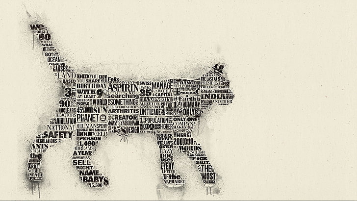 gray animal illustration, typography, cat, HD wallpaper
