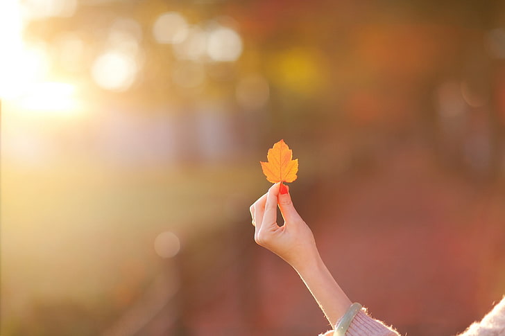 person's left hand, woman holding brown maple leaf, leaves, bokeh, fall, painted nails, women, HD wallpaper