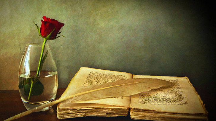 Rose, Federkiele, Bücher, Blumen, Vasen, Kunstwerke, Malerei, rote Blumen, HD-Hintergrundbild