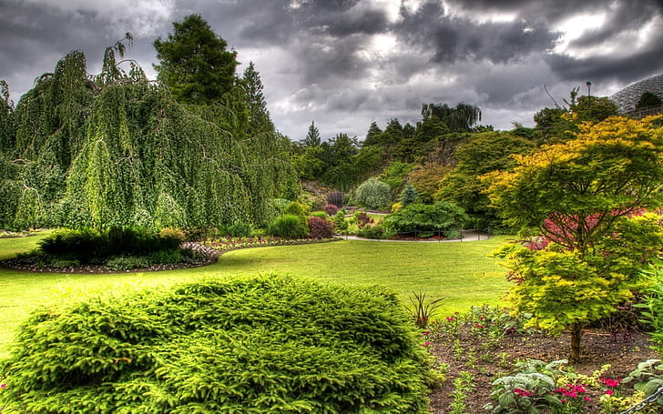 Jardin Queen Elizabeth de Vancouver, jardin Queen Elizabeth, Vancouver, Canada, herbe, Fond d'écran HD