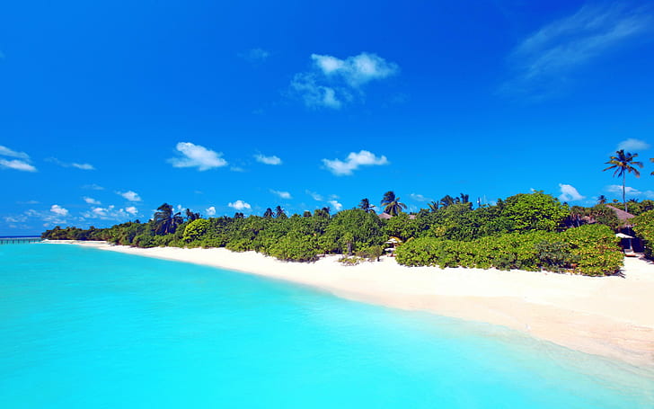 Maldives, blue ocean, trees and clouds, sky, Sea, sand, beach, palm, bungalow, Maldives, HD wallpaper