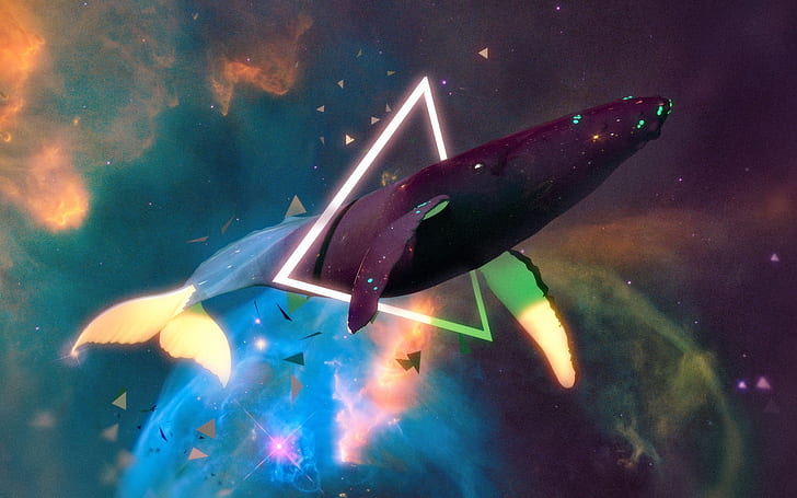 Kit, Dreieck, Space Whale, HD-Hintergrundbild