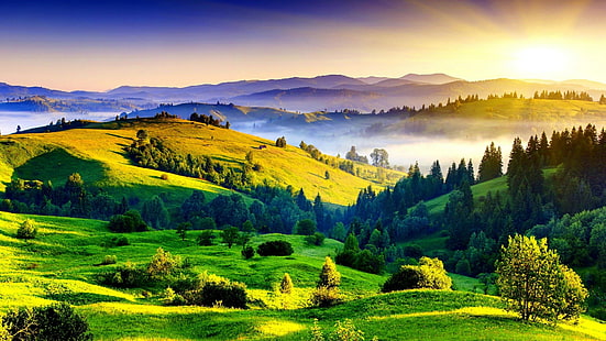 böljande kullar, gräsmark, vildmark, himmel, fält, kulle, morgon, äng, landskap, solljus, HD tapet HD wallpaper