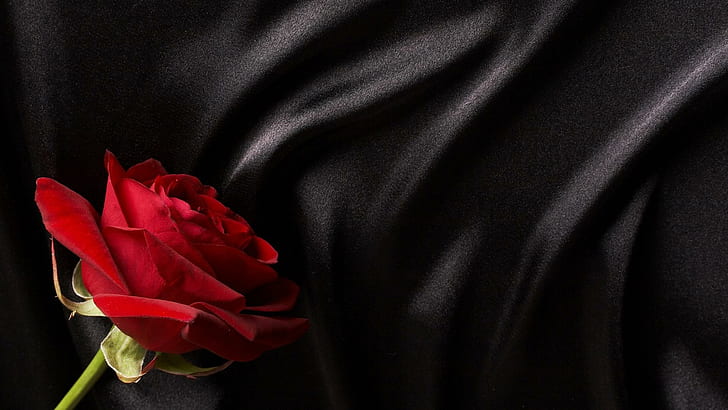 Red rose on black silk, red rose, flowers, 1920x1080, rose, silk, HD wallpaper