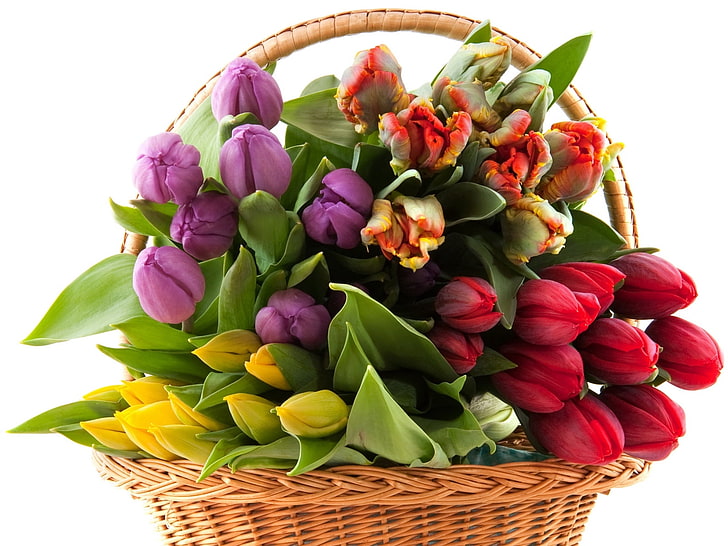 assorted flowers, tulips, flowers, many, spring, basket, HD wallpaper
