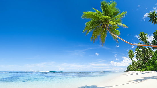 지구, 섬, 블루, 바다, 여름, HD 배경 화면 HD wallpaper