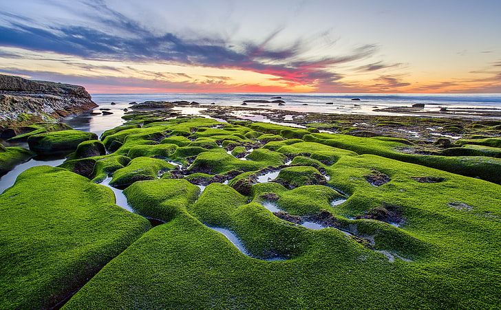 La Jolla Green Shore, green grass field, United States, California, pacific ocean, san diego, La Jolla, HD wallpaper