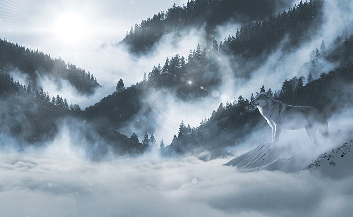 Inverno, 4K, Lobo Ártico, Montanhas, Lobo branco, HD papel de parede