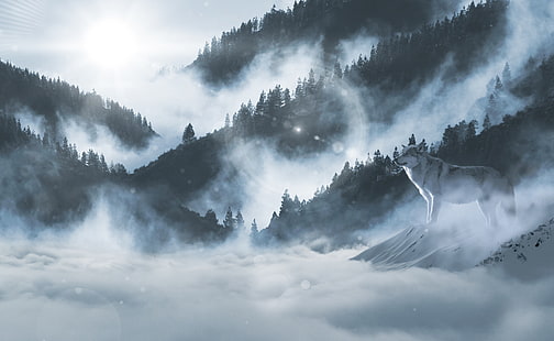 Inverno, 4K, Lobo Ártico, Montanhas, Lobo branco, HD papel de parede HD wallpaper