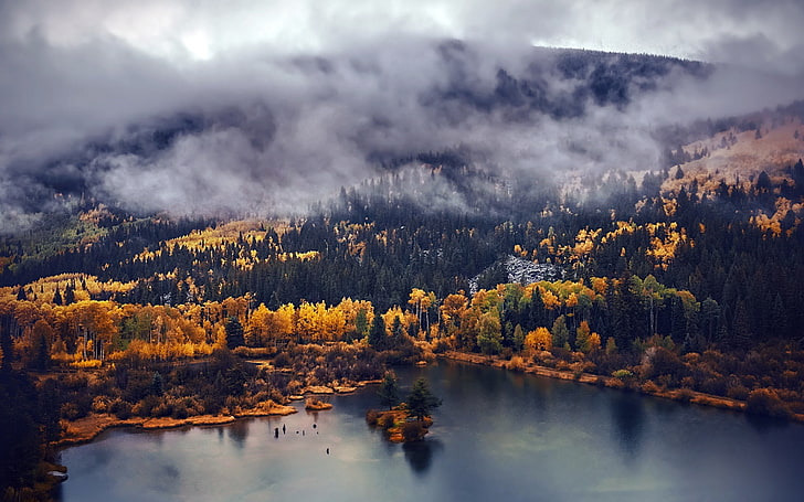 коричневые лиственные деревья, вид с воздуха, вода, природа, пейзаж, осень, озеро, туман, холмы, HD обои