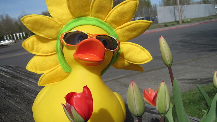 decoración de pato amarillo y naranja, pájaro, pato, decoración, Fondo de pantalla HD