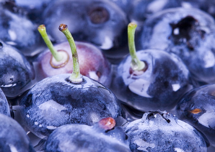 black fruits, berries, blueberries, tails, water, HD wallpaper