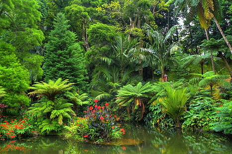 Земя, джунгла, цвете, гора, езерце, тропическа гора, тропическа, HD тапет HD wallpaper