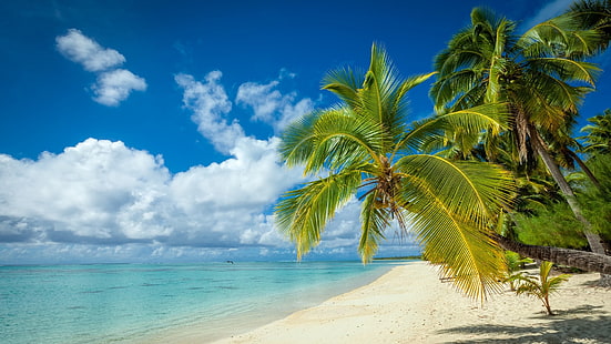 природа, пейзаж, тропически, остров, плаж, палми, бяло, пясък, море, лято, облаци, HD тапет HD wallpaper