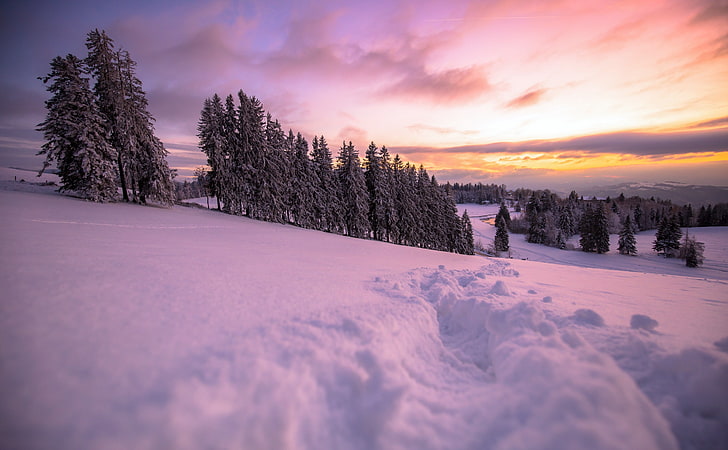 musim dingin, langit, alam, pemandangan, pohon, salju, Wallpaper HD