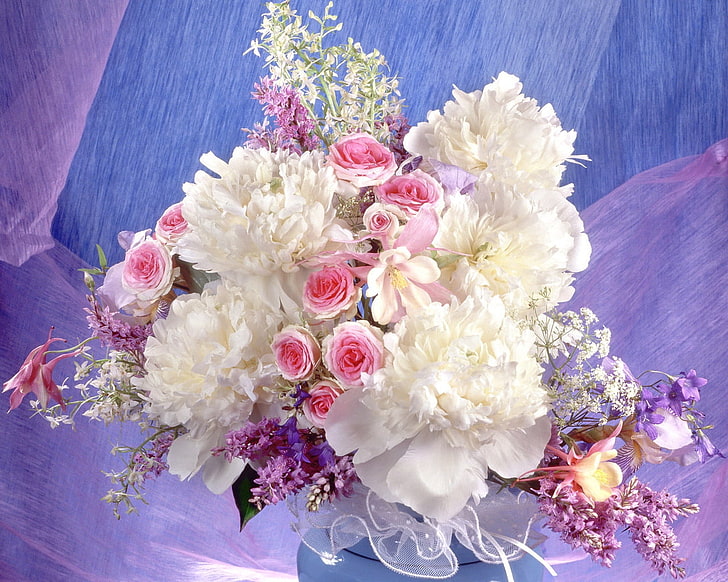 白とピンクの花びらの花、牡丹、バラ、花、歌、花、装飾、 HDデスクトップの壁紙