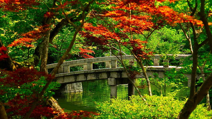 природа, растительность, лист, дерево, мост, сад, ботанический сад, растение, японский сад, дзен-сад, пейзаж, лес, лесистая местность, Япония, Азия, Киото, HD обои