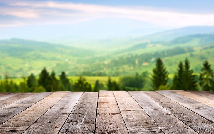 selective focus photography of plank board, forest, summer, the sky, macro, trees, landscape, mountains, nature, mood, stay, Board, view, focus, spring, space, floor, interesting Wallpapers, HD wallpaper