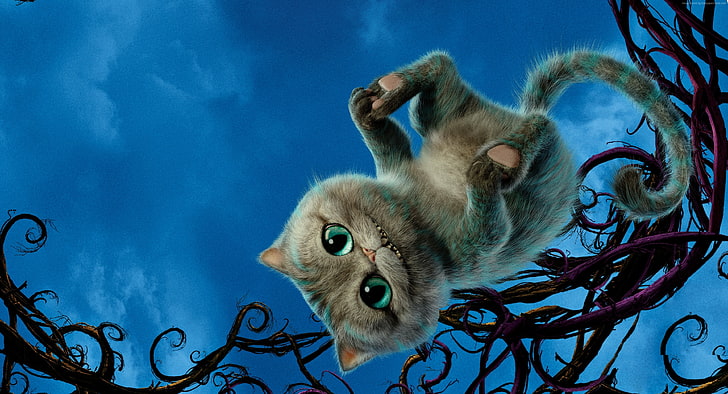 cheshire cat, best movies of 2016, Alice Through the Looking Glass, HD wallpaper