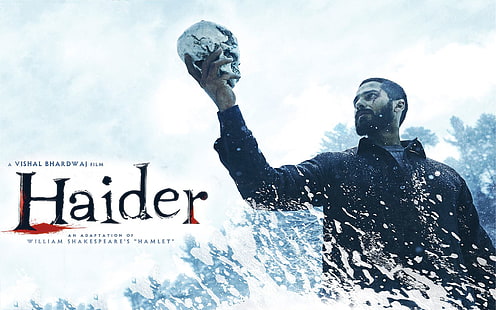 Haider 2014, плакат за филм на Haider, Филми, Боливудски филми, Боливуд, Shahid Kapoor, 2014, Shraddha Kapoor, HD тапет HD wallpaper