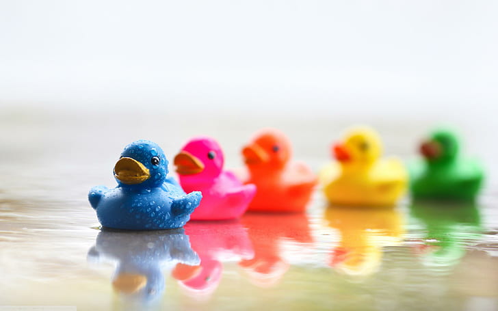 Colourful Ducks, colourful, yellow, duck, blue, green, rubber, pink, 3d and abstract, HD wallpaper