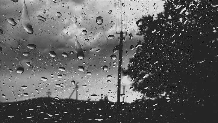 Wassertau Graustufenfoto, Regen, Natur, Wasser auf Glas, Wassertropfen, einfarbig, grau, HD-Hintergrundbild