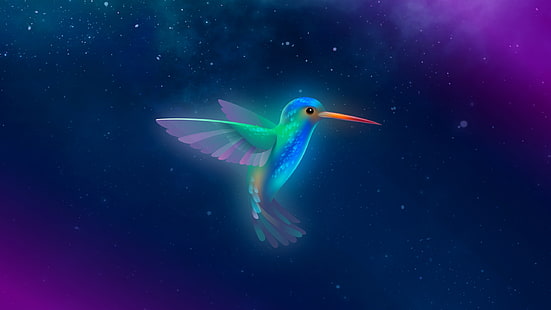  artwork, digital art, birds, hummingbird, hummingbirds, colorful, HD wallpaper HD wallpaper