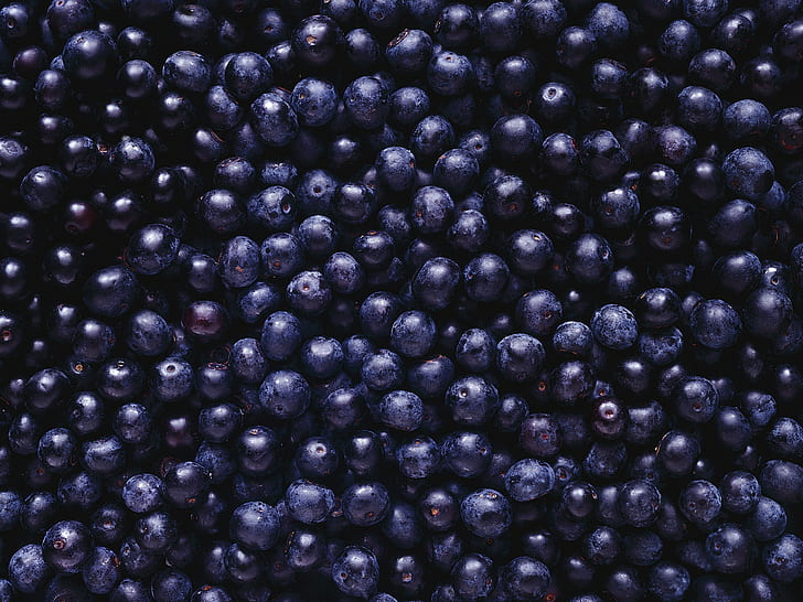 딸기, 과일, 블루 베리, 음식, HD 배경 화면