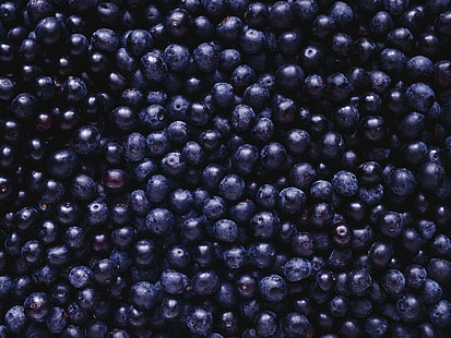딸기, 과일, 블루 베리, 음식, HD 배경 화면 HD wallpaper