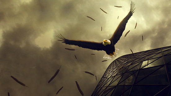 Adler, 4k, Himmel, Wolken, Gebäude, Fliege, Flügel, Gefieder, Kunst, HD-Hintergrundbild HD wallpaper