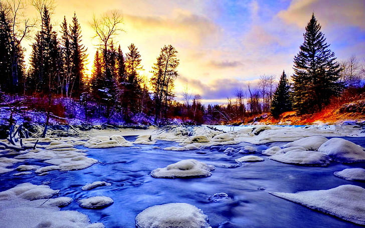 Snowy Creek, trees, stream, frost, winter, sunset, 3d and abstract, HD wallpaper