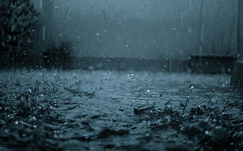 Regen, Tropfen, Spritzer, starker Regen, Trübheit, schlechtes Wetter, HD-Hintergrundbild HD wallpaper