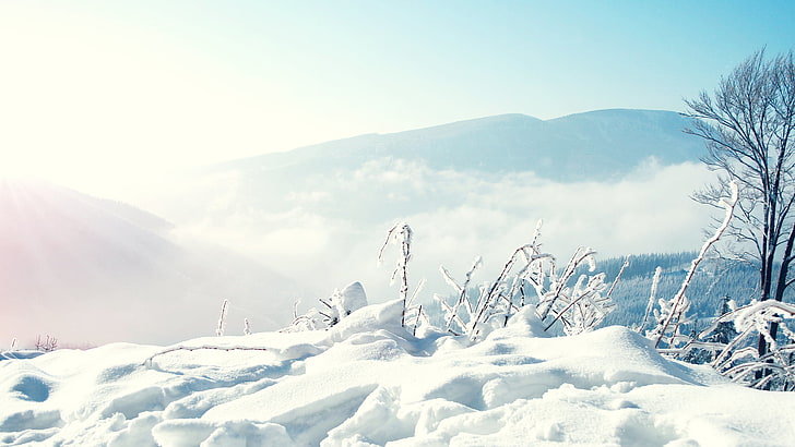 neige blanche, neige, arbres, montagnes, brouillard, Nature, hiver, neige, météo, conditions, Fond d'écran HD