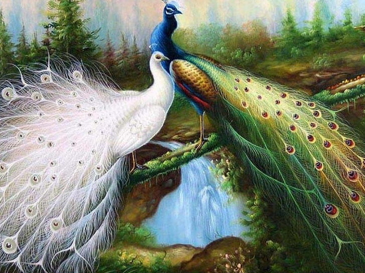 White and green peacock artwork, Birds, Peacock, Bird, HD wallpaper |  Wallpaperbetter