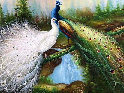 opera d'arte pavone bianco e verde, uccelli, pavone, uccello, Sfondo HD HD wallpaper