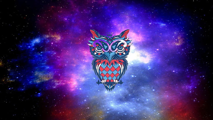 galaxy owl wallpaper, búho, dibujo, Fondo de pantalla HD