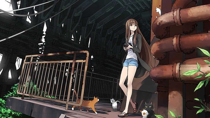 anime girl in black cardigan standing beside fence, anime girls, cat, shorts, jean shorts, short shorts, HD wallpaper
