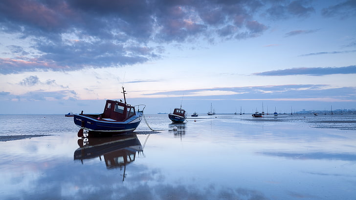 barco blanco y azul, naturaleza, agua, barco, azul, reflexión, mar, horizonte, calma, costa, Fondo de pantalla HD