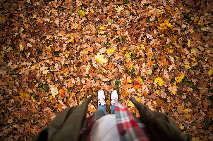 autumn, dry leaves, environment, fall, ground, leaves, maple, nature, outdoors, person, HD wallpaper