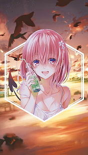 Anime Girls, Anime, Bild-in-Bild, To Love-ru, HD-Hintergrundbild HD wallpaper