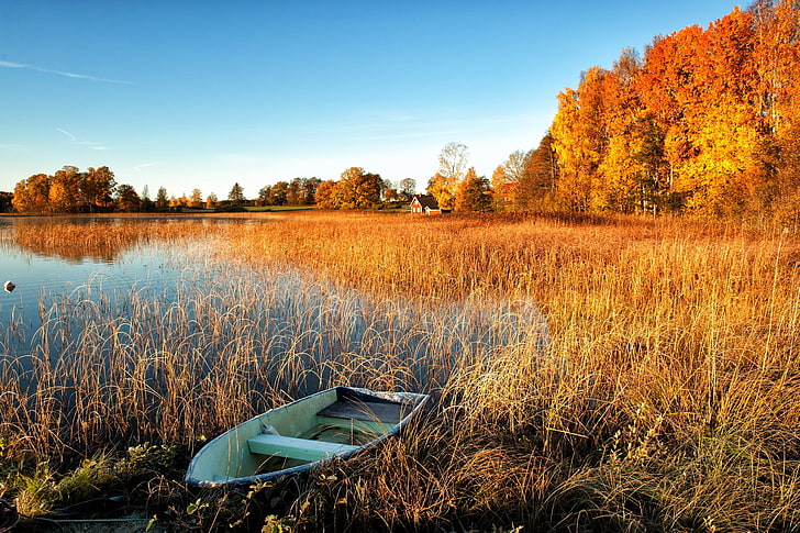 biała łódź wiosłowa, jesień, drzewa, jezioro, łódka, domy., Tapety HD
