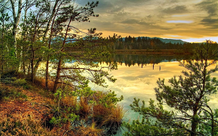 ต้นไม้ใกล้แหล่งน้ำในเวลากลางวันธรรมชาติพระอาทิตย์ตกทะเลสาบต้นไม้ป่าสะท้อน, วอลล์เปเปอร์ HD