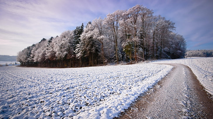 зима, иней, изморозь, путь, путь, снег, пейзаж, дорога, изгиб, поворот, пригород, сельская местность, небо, мороз, замерзание, дерево, HD обои