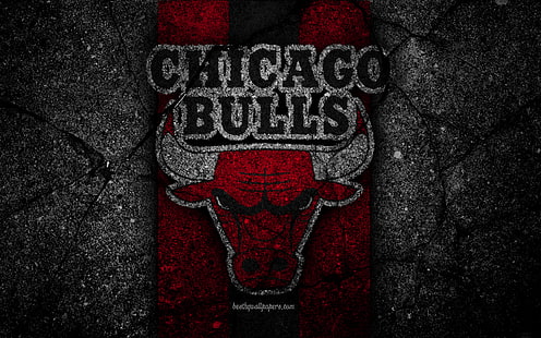كرة السلة ، شيكاغو بولز ، الشعار ، الدوري الاميركي للمحترفين، خلفية HD HD wallpaper