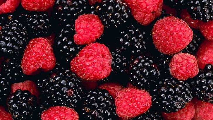 raspberry lot, raspberries, blackberries, berries, sweet, ripe, HD wallpaper