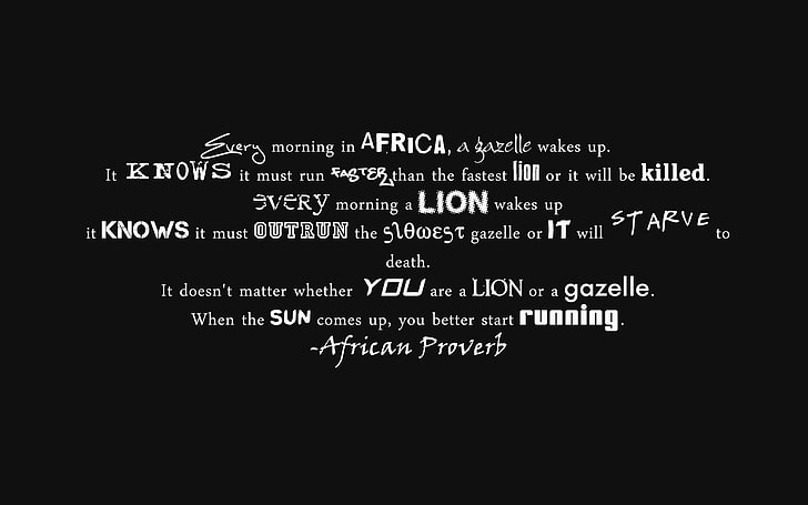 Buchstaben, Minimalismus, Löwe, Wörter, Phrase, die Bedingungen des Überlebens, afrikanisches Sprichwort, Gazelle, Gesetze, HD-Hintergrundbild