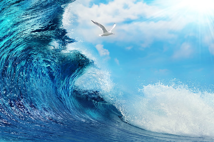 white bird and ocean waves digital wallpaper, sea, water, the ocean, wave, sky, ocean, blue, splash, HD wallpaper