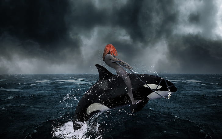 Fantasie-Antrieb, Person, die ein Killerwalbild, Wal, Foto, Bild, Wasser, Ozean, Dunkelheit reitet, HD-Hintergrundbild