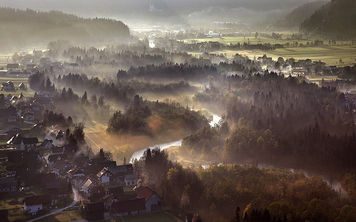 fotografía aérea del bosque y río, naturaleza, paisaje, niebla, mañana, rayos de sol, bosque, río, ciudad, campo, vista aérea, colinas, Fondo de pantalla HD